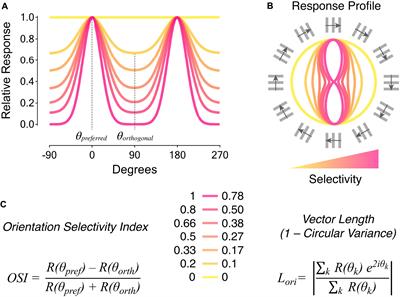 Orientation-Selective Retinal Circuits in Vertebrates